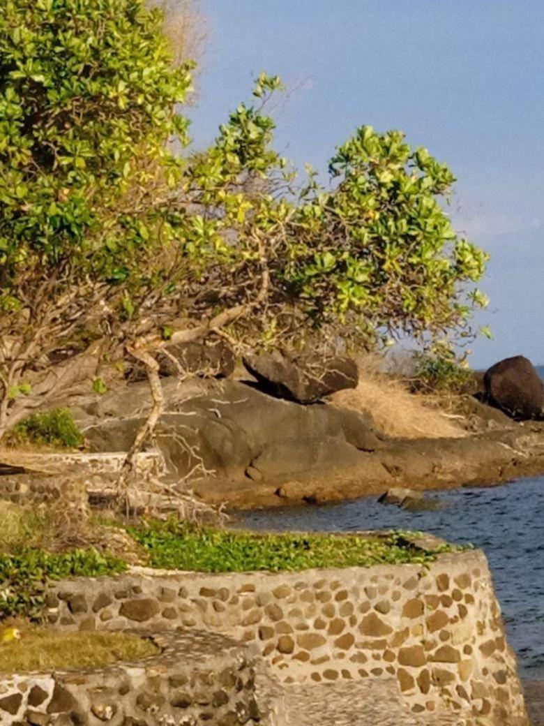 Costa Aguada Island Resort, Inampulugan Island, Sibunag, גימראס מראה חיצוני תמונה